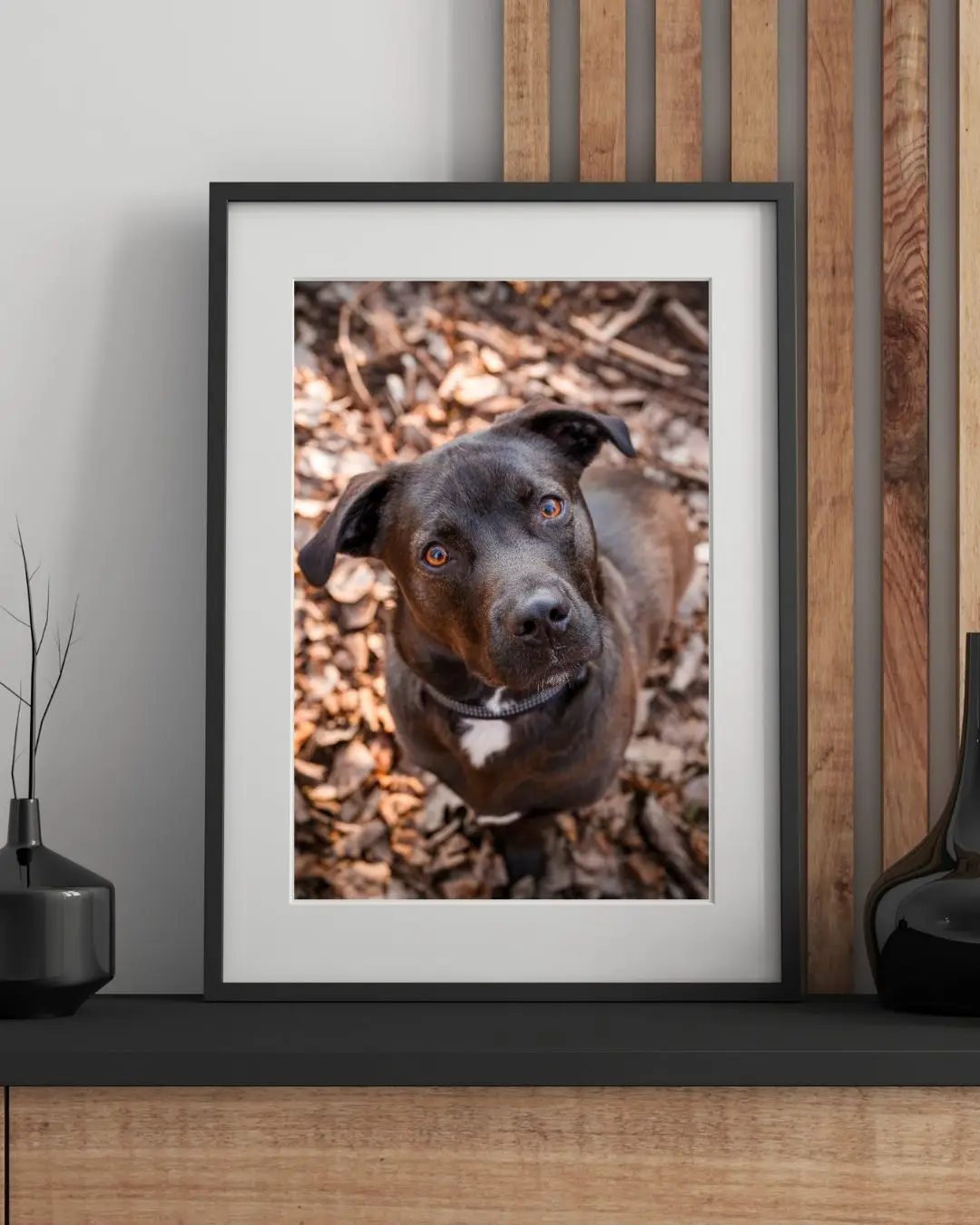 Astro- Framed Mat- Counter