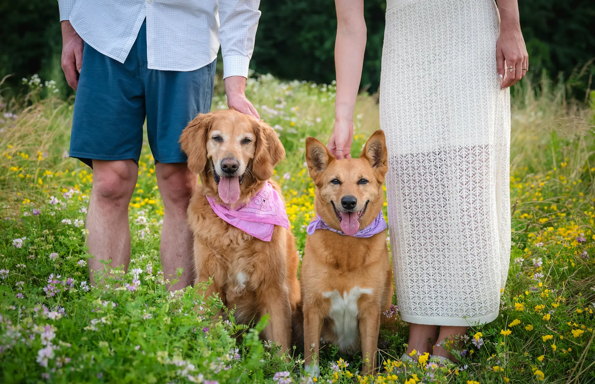 UnleashedwithLove_7949_SHELBY+SYDNEY2