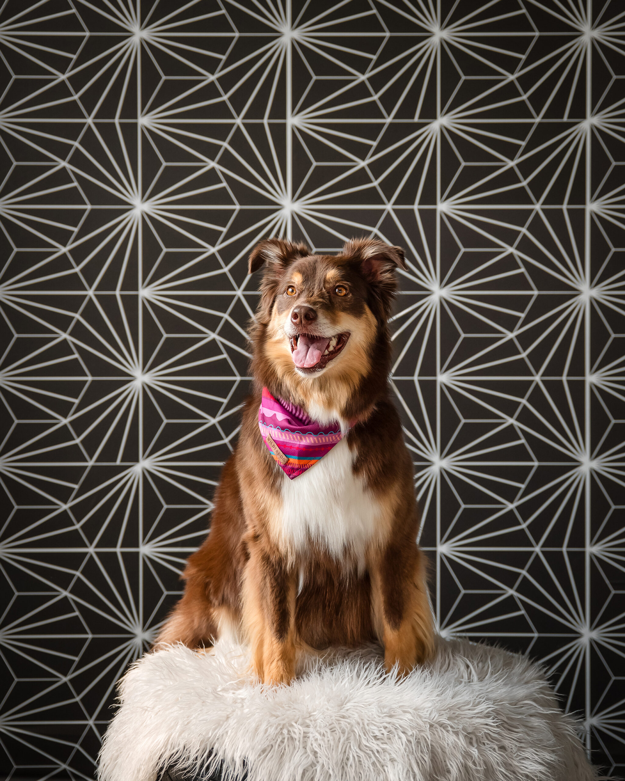 e35fe017f6314e197dd5144b7136a0e1590e9d0a